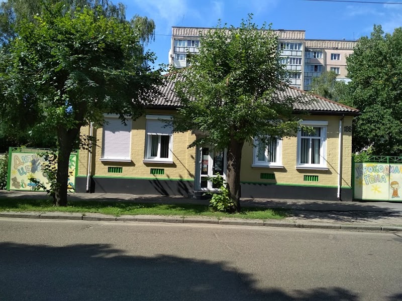 Дитячий центр підготовки і розвитку “Крокодил Гена”