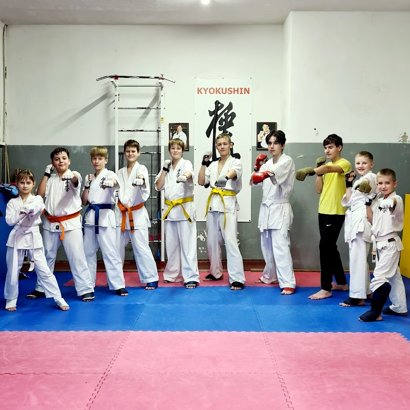 Кіокушин Карате ( Kyokushin Karate )