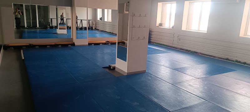 Айкідо Айкікай