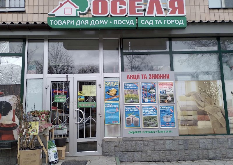 Оселя