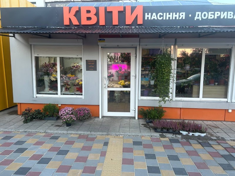 Квіти