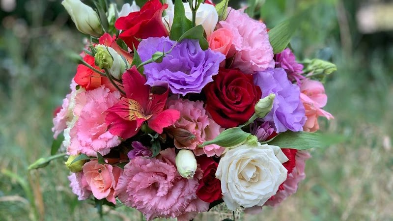 Magic Rose