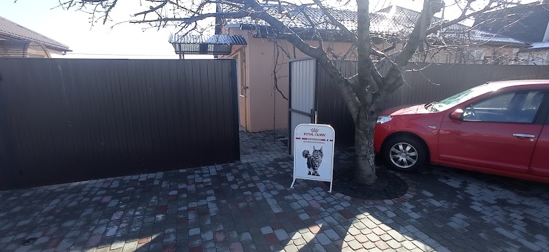 Ветеринарна лікарня VetHouse