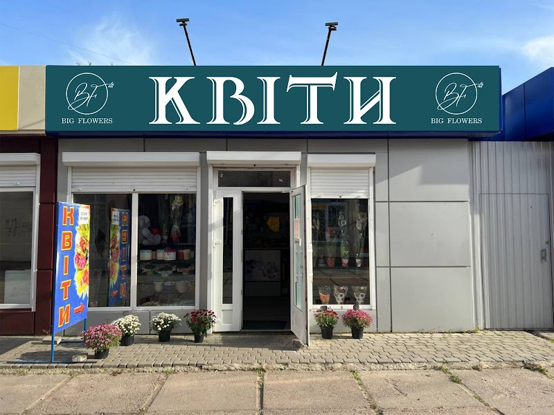 Квіти Big Flowers