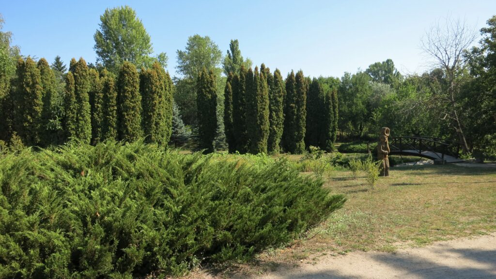 Черкаський міський парк Перемоги: хвойні насадження та місток.